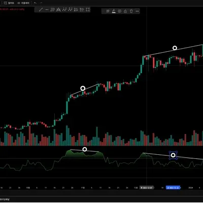 [30일 챌린지 6기 2주차] 11일차 다이버전스 Mission