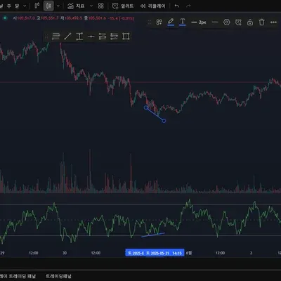 [30일 챌린지 6기 2주차]  다이버전스