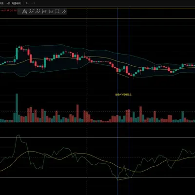 [ 30일 챌린지 6기] RSI 다이버전스