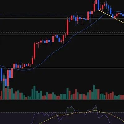[30일 챌린지 31기 1주차]
