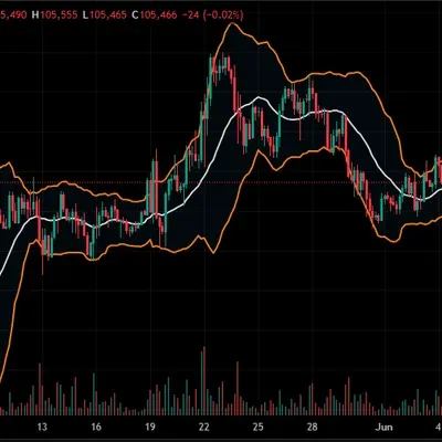 [30일 챌린지 7기 1주차]