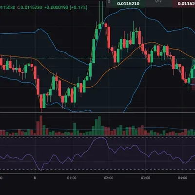 [30일 챌린지 29기 3주차]