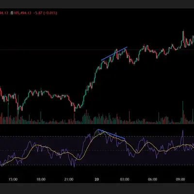 [30일 챌린지 6기 2주차] 다이버전스