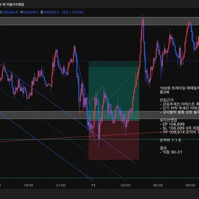 100회 트레이딩 매매일지(61/100)