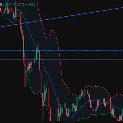 30일 챌린지 5기 4주차 매매일지