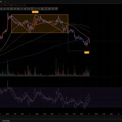 [30일 챌린지 8기 1주차] 트레이딩뷰 세팅