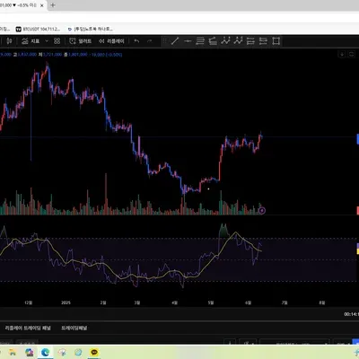 [30일 챌린지 31기 2주차] RSI(상대강도지수) 보조지표 활용 캡처