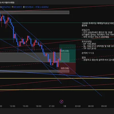 100회 트레이딩 매매일지(63/100)