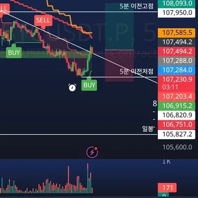 100회 트레이딩 35회차
