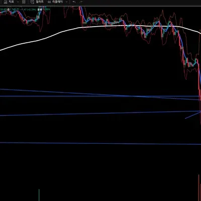 [30일 챌린지 5기 4주차]