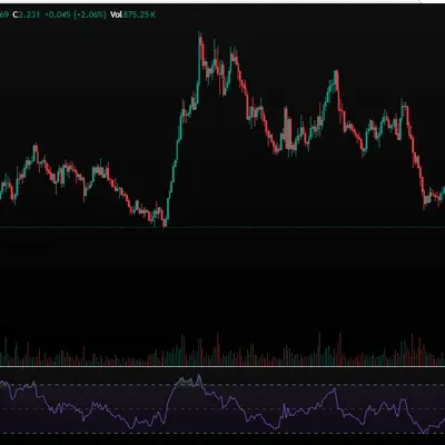 30일 챌린지 31기 2주차