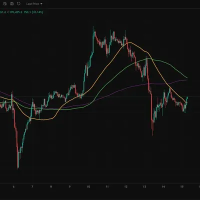 100회 트레이딩(12/100)