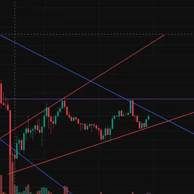 [30일 챌린지 5기 4주차]