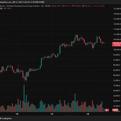  8기    1주차  트레이딩뷰 세팅
