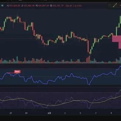  [30일 챌린지 31기 2주차] RSI 지표분석