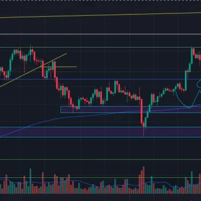 [30일 챌린지 5기 4주차]
