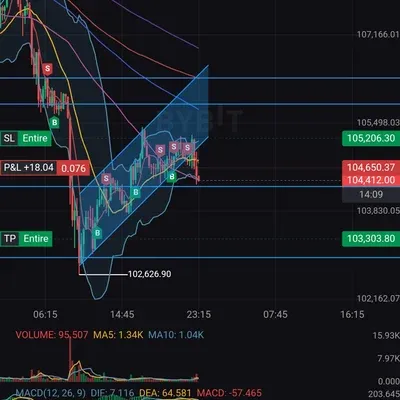 [30일 챌린지 29기 4주차] GRhoodies