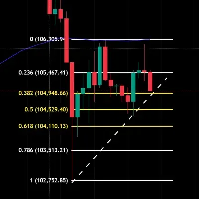 [30일 챌린지 5기 4주차] 