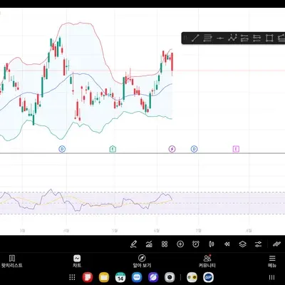 30일 챌린지 31기 2주차 냥이요