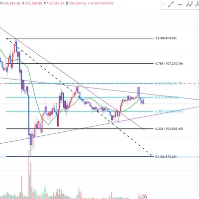 [30일 챌린지 32기 1주차] 작도