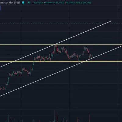 [30일 챌린지 32기 1주차] 작도연습