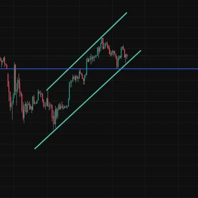 [30일 챌린지 32기 1주차]