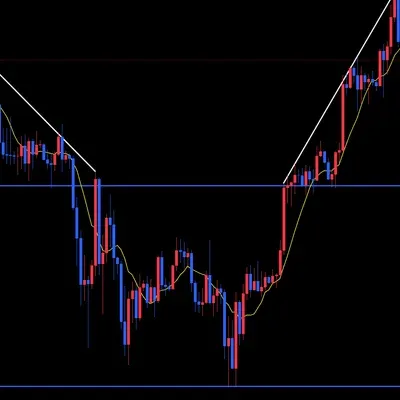 [30일 챌린지 32기 1주차] 작도연습입니다