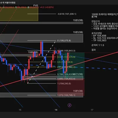 100회 트레이딩 매매일지(70/100)