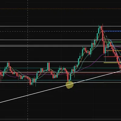 매매일지 (1/100) 