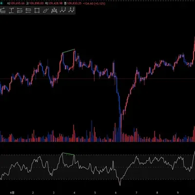 [30일 챌린지 8기 2주차] 다이버전스 찾아보기