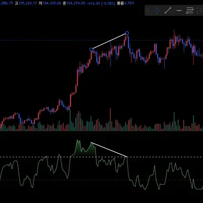 [30일 챌린지 8기 2주차] 하락 다이버전스