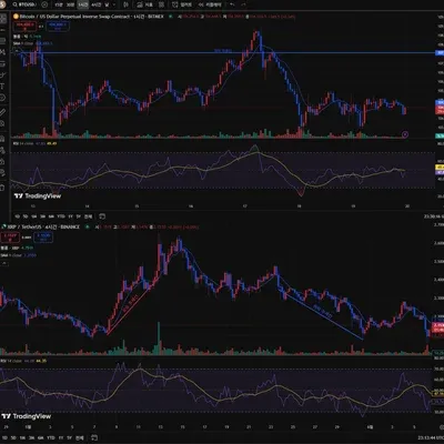 [30일 챌린지 33기 1주차]