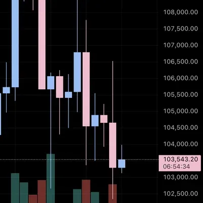 [30일 챌린지 9기 1주차] 트레이딩 뷰 세팅