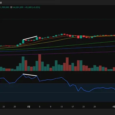 [30일 챌린지 8기 2주차] 다이버전스