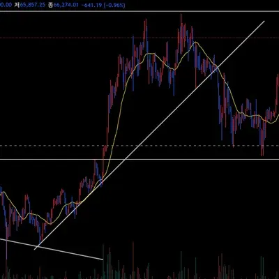 [30일 챌린지 33기 1주차]  지지 저항과 추세선 