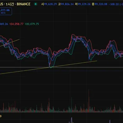 [30일 챌린지 31기 3주차]