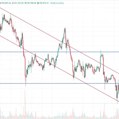 30일 챌린지 33기 1주차