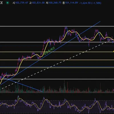 [30일 챌린지 30기 4주차]