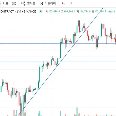 [30일 챌린지 33기 1주차] 비트코인 작도