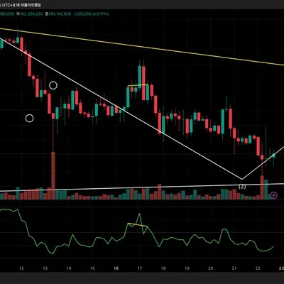 [30일 챌린지 8기 11일 미션] RSI 다이버전스구간