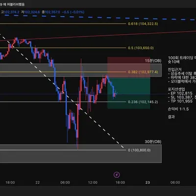 100회 트레이딩 매매일지(75/100)