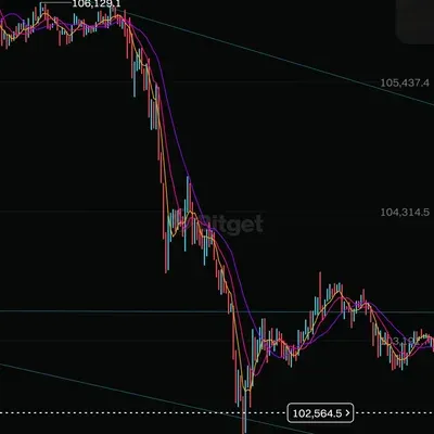 30일 챌린지 30기 4주차