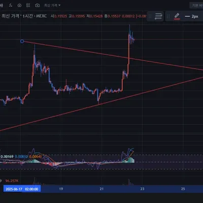 [30일 챌린지 33기 1주차] 작도