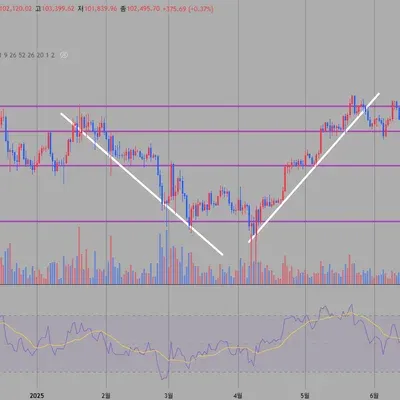 [30일 챌린지 33기 1주차] 지지 저항 작도