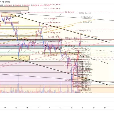 100회 트레이딩 79