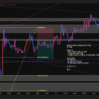 100회 트레이딩 매매일지(79/100)