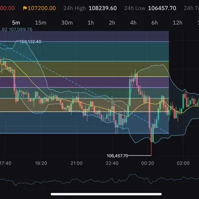 [30일 챌린지 31기 4주차]