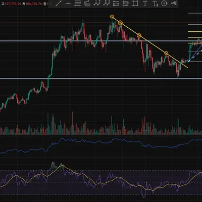 [30일 챌린지 33기 2주차]