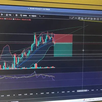 [30일 챌린지 31기 4주차] 변동성이 클때