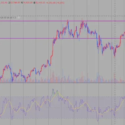 [30일 챌린지 33기 2주차] rsi